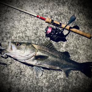 ブーメランステップと「ラスタとんねるず」財前ゴウの総回診