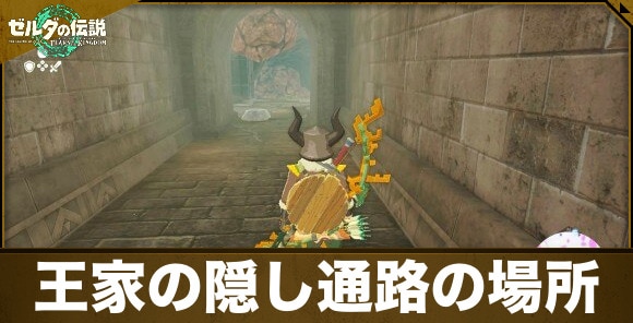 ゼルダティアキン ＃１２ マヤチノウの祠と謎の地上絵 - フィンのゲームブログ