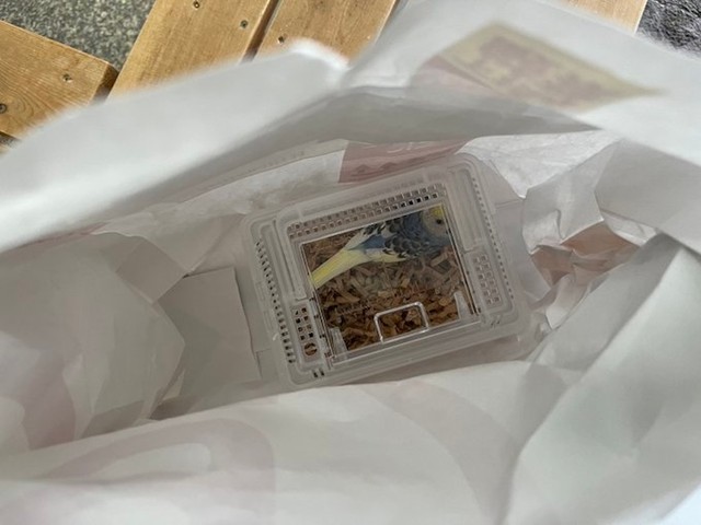 人工知能”で被害を防ぐ「特殊詐欺を疑うキーワードをAIが認識」警察とNTT東日本がタッグ新潟のニュース・天気BSN NEWSBSN新潟放送1ページ