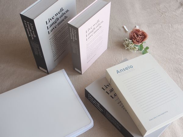 ダイソー 家のマンガ、全部コレに入れたい ！110円の「アイデア袋」20冊も入るから、本棚がきれいに片付くの！ 購入レビュー