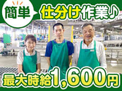 棚卸しバイト ハンディの使い方と商品のカウント方法のコツを紹介だいのブログ