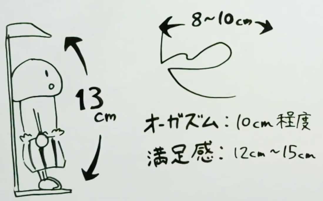 ペニスの大きさ平均は13cm！女性の理想サイズはさらにデカい！？｜薬の通販オンライン