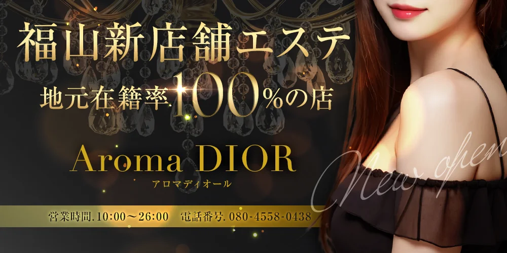 未使用 保管品 DIOR