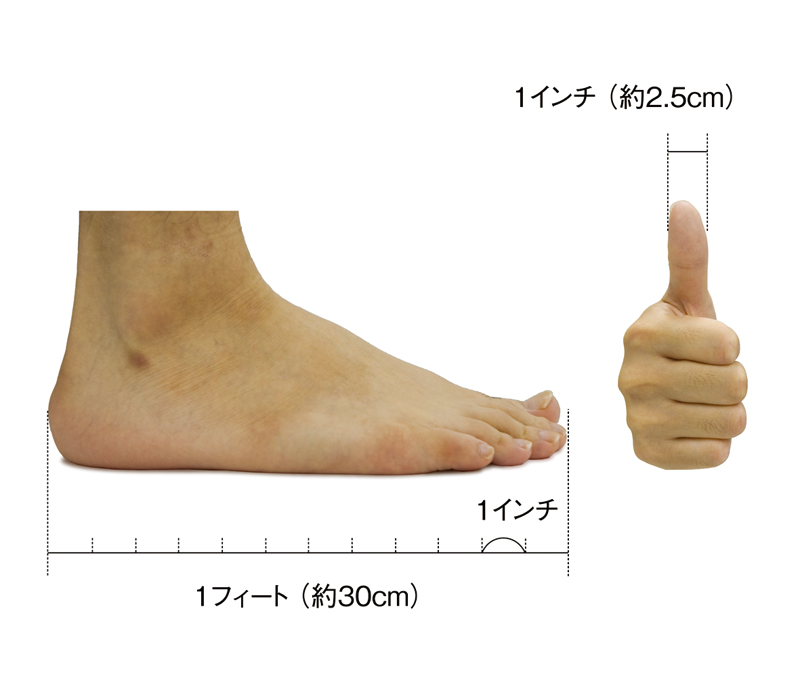 1mはどうやって決めたの？長さや単位の歴史を解説