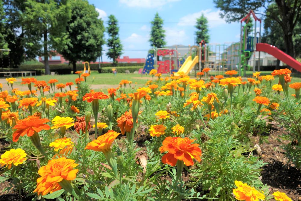 茨城県つくば市の植物園一覧 - NAVITIME