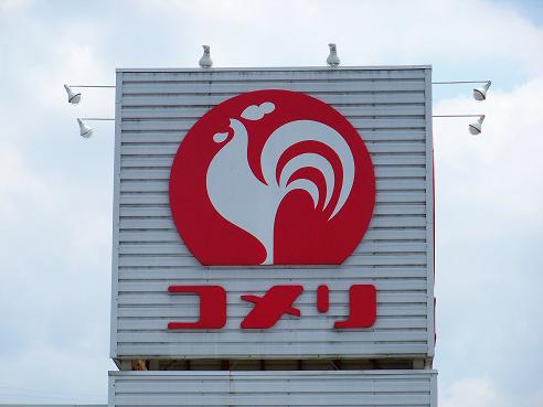 ホームセンター売上高ランキング！DCM、カインズ、コメリ 各社戦略を解説 _流通・小売業界 ニュースサイト ダイヤモンド・チェーンストアオンライン