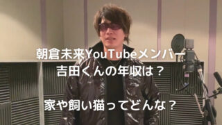 宇多田ヒカルの年収は？全盛期は10億円超！現在の収入や資産額 2025年