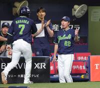 おまけグラス ブッシュミルズ ブラックブッシュ オリジナルハイボールグラス- KVNシステム