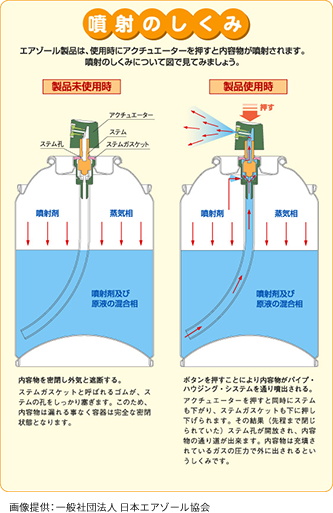カリフォルニア堅果 3種ミックスナッツ 850g 送料無料 くるみ アーモンド カシューナッツ 無塩 添加物不使用 植物油不使用 チャック付き袋保存食 : Daily Nuts&Fruits - 通販 - Yahoo!ショッピング