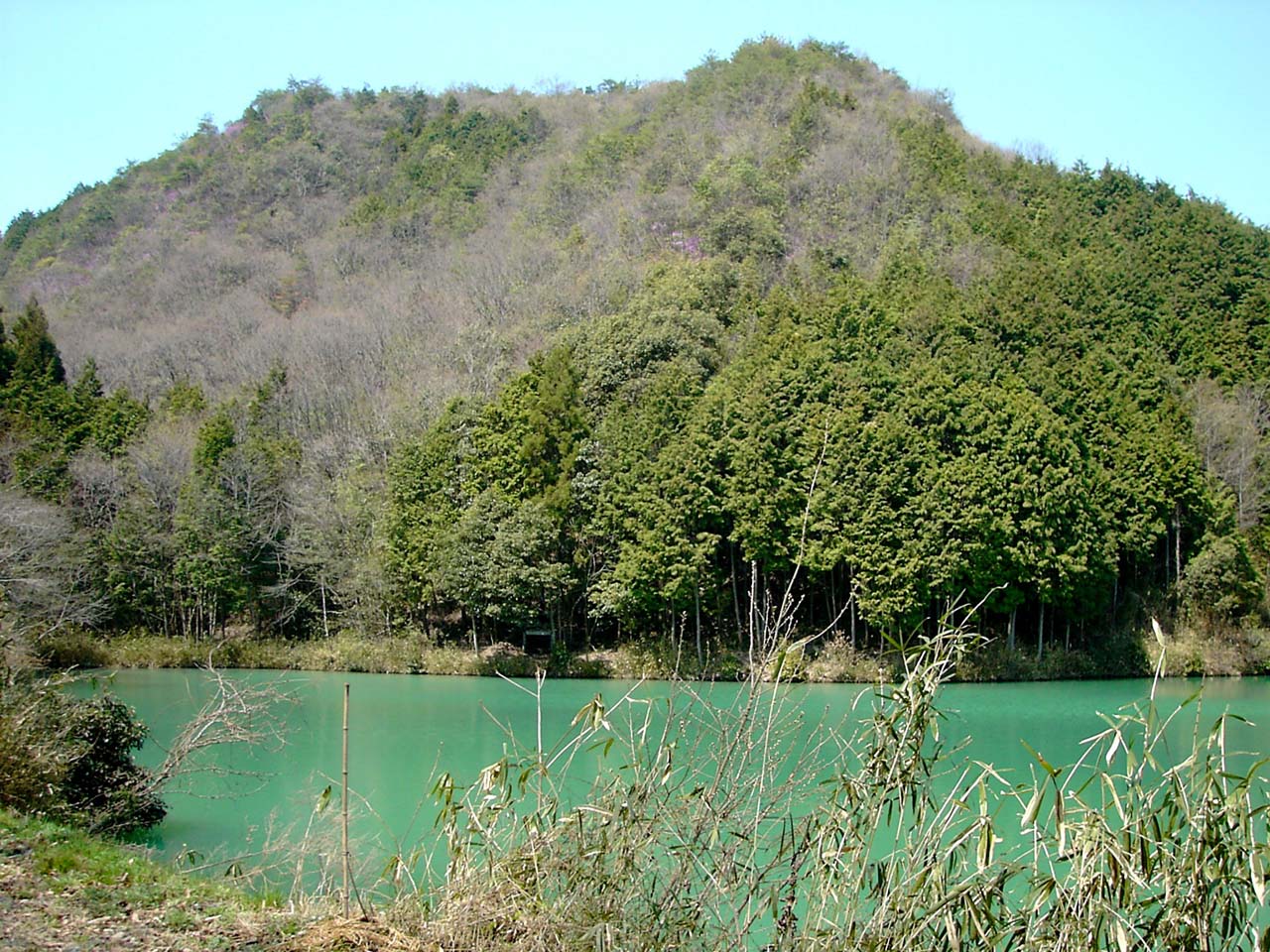 二十四節気の「穀雨」│津山朝日新聞社