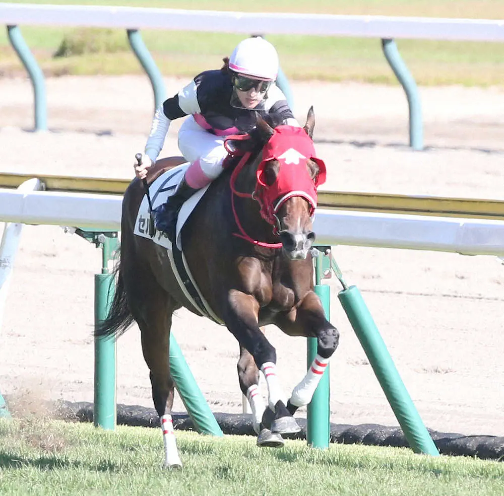 新潟２Ｒ 圧倒的１番人気が勝利目前で内ラチ激突 落馬でヒヤリ 津村が〝鉄人〟ぶりを発揮競馬ニュース・特集なら東スポ競馬