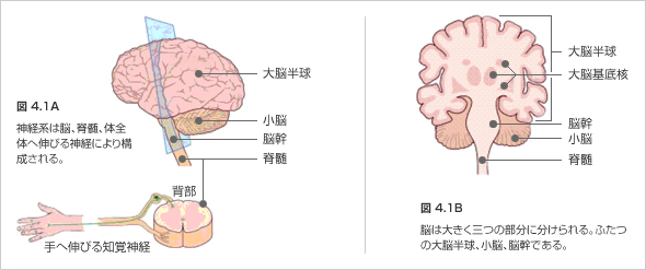 無粋の意味とは？野暮との違いを簡単に解説！正しい使い方・類義語もわかりやすく！ | 意味lab