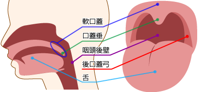 THE 未公開 ～イマラチオ好き三人娘～