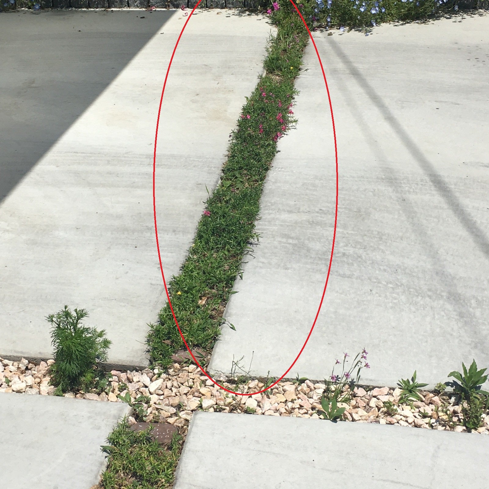 おしゃれでコストを抑えた駐車場づくりの4つのアイデア - GardenJournalGarden journalガーデンジャーナル