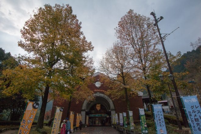 大人から子供まで楽しめる？ マイントピア別子の紅葉と冬桜 - 住みたい田舎のトラベラ