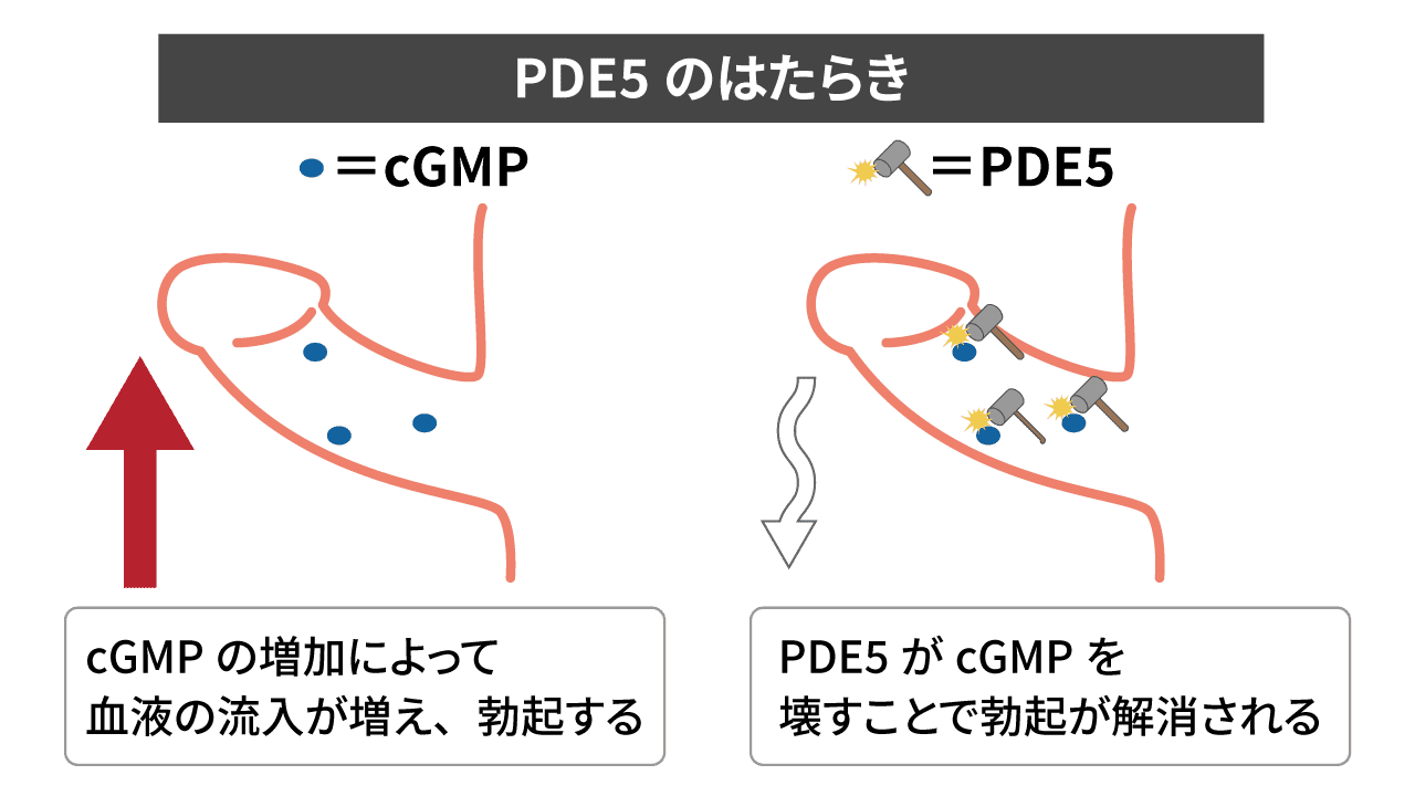 精力ドリンクおすすめ10選を徹底比較！選び方も解説