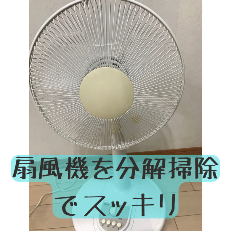 サーキュレーターの掃除方法分解できる？できない？タイプ別に紹介アイリスプラザ_メディア
