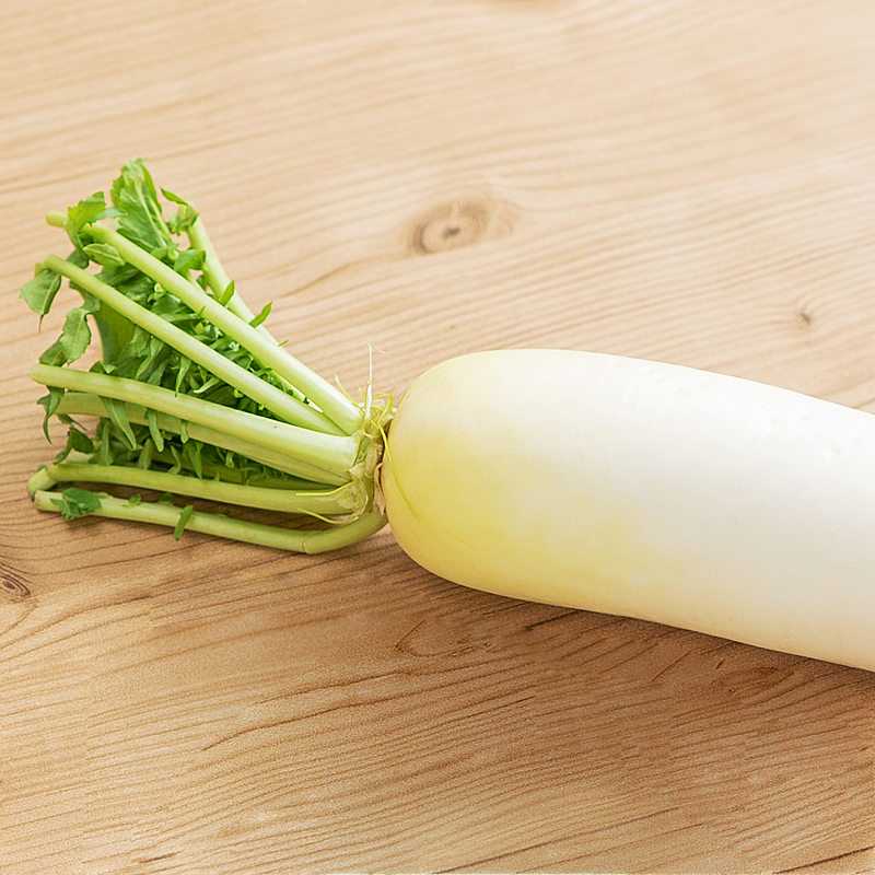 100ページ目ウエルシアのチラシ・特売情報 2010件EPARKくすりの窓口