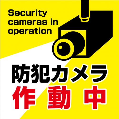 看板 標識 看板製作 デザイン おしゃれ 防犯 防犯カメラ 監視カメラ アルミ複合板 プレート看板 屋外 パネル看板 注意看板 案内板防犯タイプD031 Lサイズ