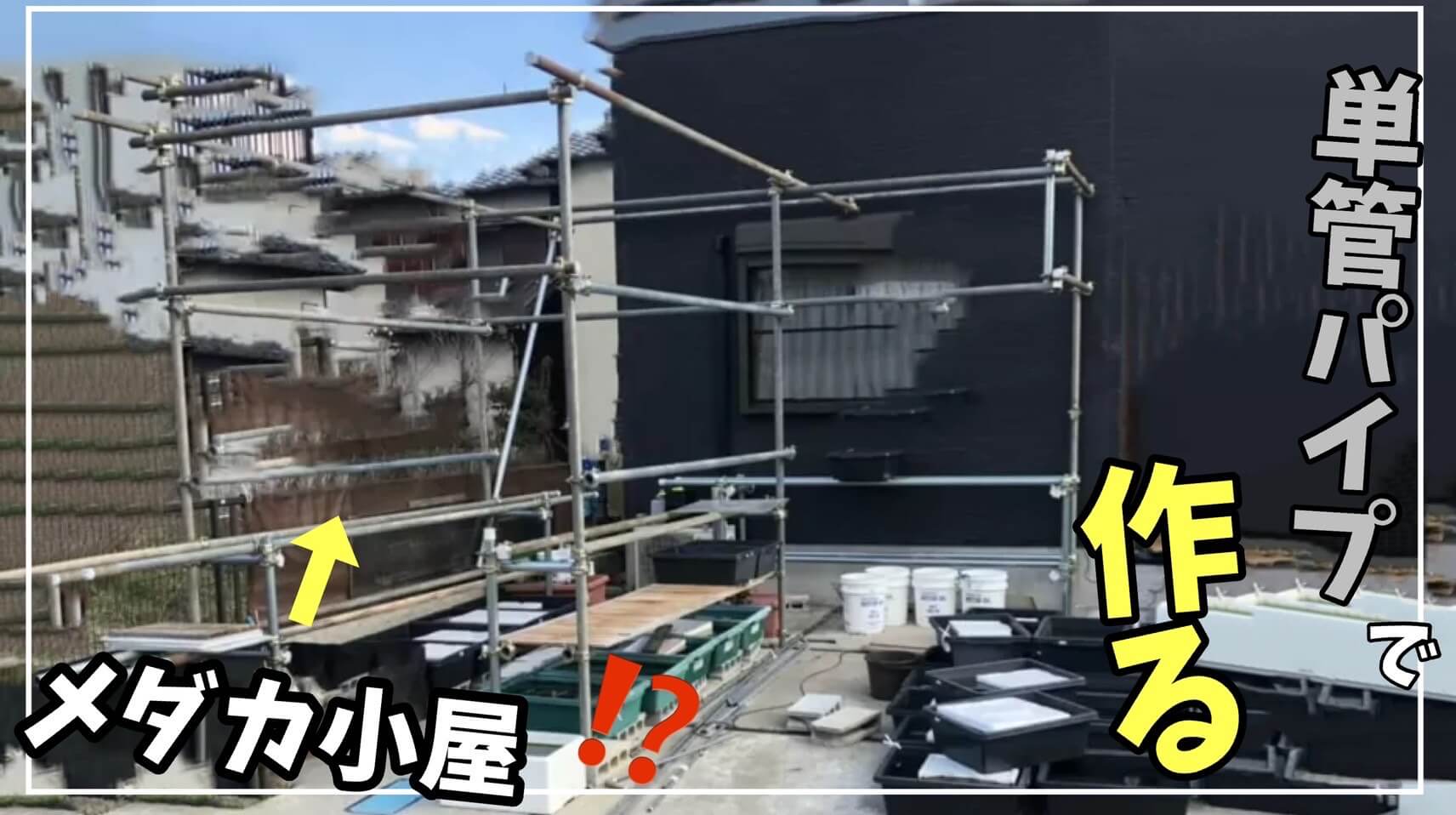 ビートルの小屋Diy-Life - イレクターで、できるワクワクを