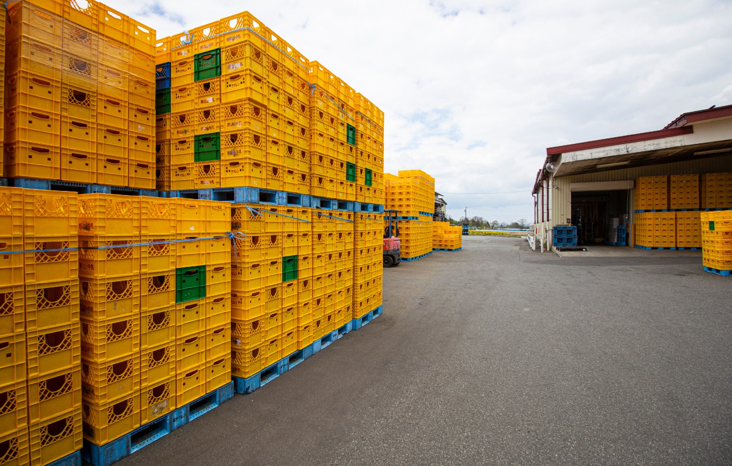 牛乳工場での生産の流れfindNew 牛乳乳製品の知識