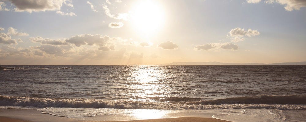 サンディ三山木店 ホームメイト