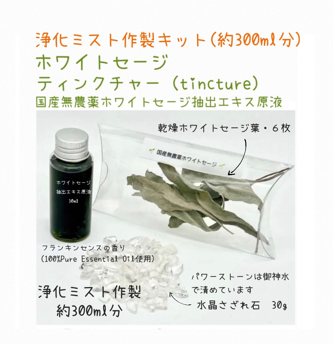 ハーブとアロマテラピーの老舗ブランド【生活の木】ではじめるCBD生活。飲む・食べる・塗る・吸う、ライフスタイルに合わせて選べる期間限定CBDポップアップ  | エリクシノール株式会社のプレスリリース