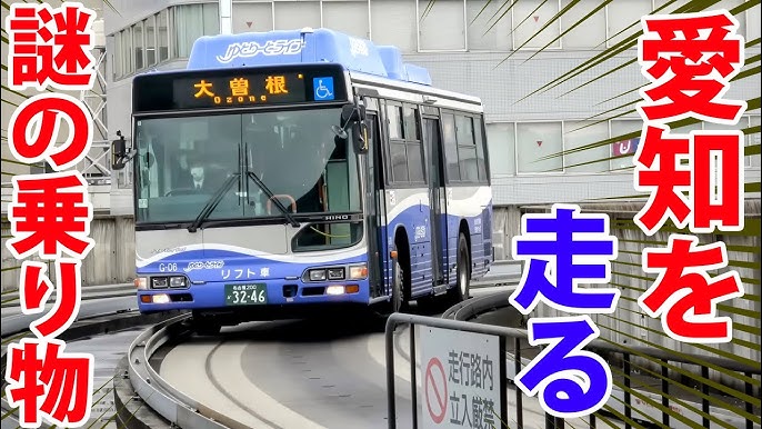 猫のシャア専用ゲルググコスプレ