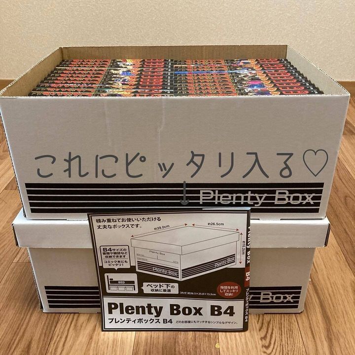 Opal の収納に、やっぱり１００均のコミック収納袋がとっても優秀な件。糸へん便り