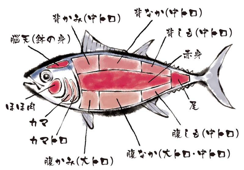 マグロの意味は？マグロと呼ばれてしまう人の特徴とマグロにならないテク - CanCam.jp（キャンキャン）