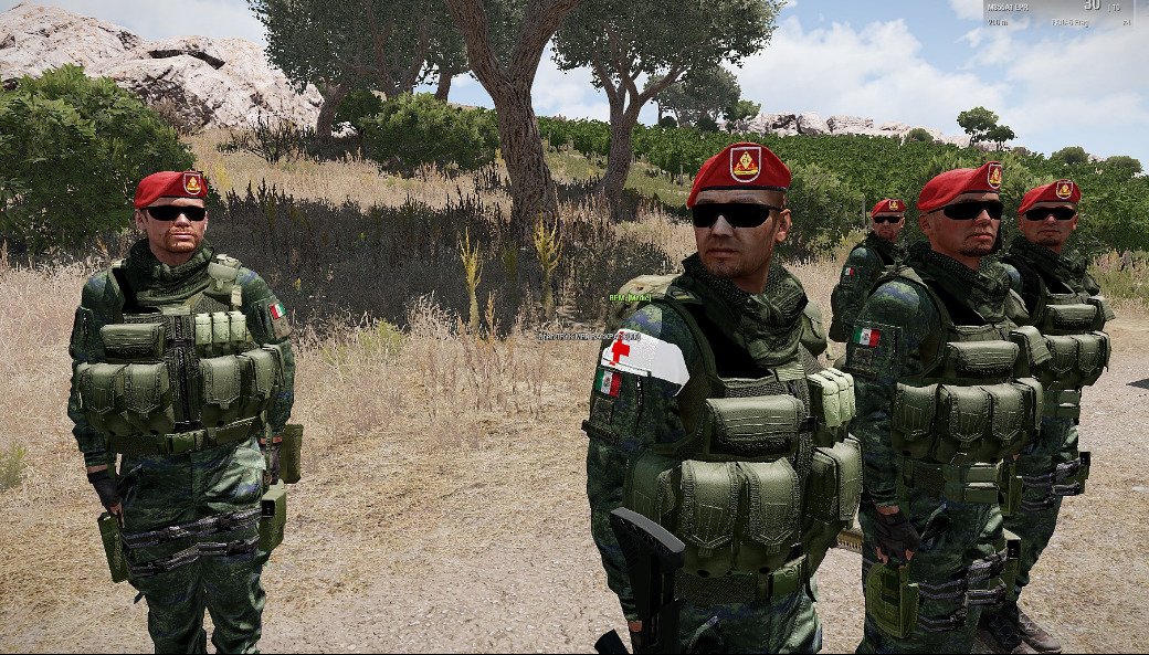 特殊作戦群メキシコ軍- Wikipedia