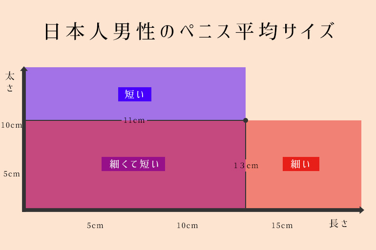 悲報】日本人のちんこの平均サイズと女性が求めるサイズの差が悲惨 | 男の美学