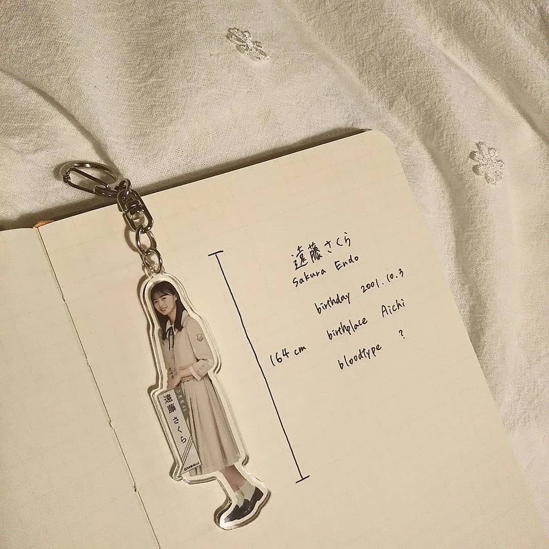 オタクのプロフィール帳 テンプレありK-POP・LDH・宝塚・2.5次元など - ソレドコ