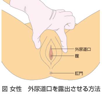 19.ビジネス用の挨拶が簡単に入力できる方法はありませんか？