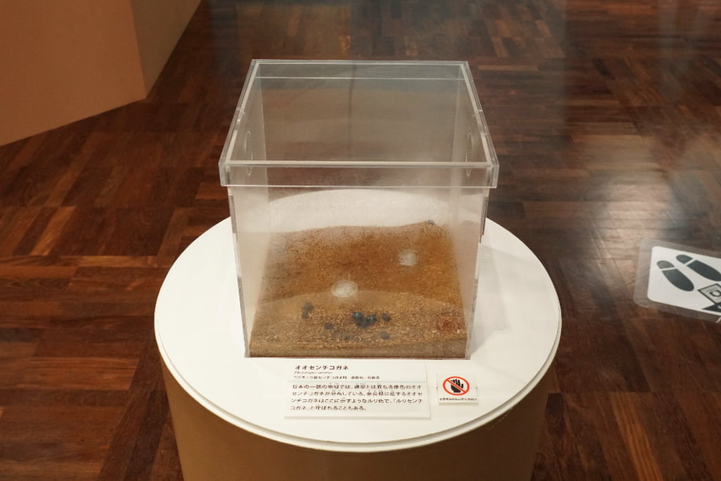 メカトロウィーゴ No.17 すぽーつ `ふれいむ＆しっこく`プラモデル- ホビーサーチ ガンプラ他