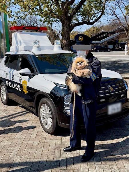 アメリカで運転中に警察に呼び止められたら？行動の仕方まとめ - Mamemiso diary