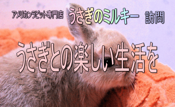 春爛漫！可愛さ満開！！おぱんちゅうさぎと花づくしの１カ月半～3月1日(金)から大阪の地下街『ホワイティうめだ』が『おぱんちゅうさぎ』のピンク色に包まれます。  |