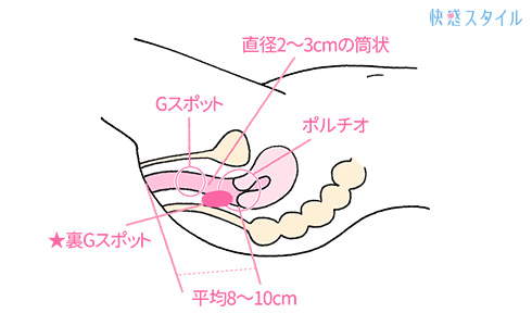 アナルにズボズボ…アナニーしてる女のエロ画像26枚 | 5回は抜けるエロ画像