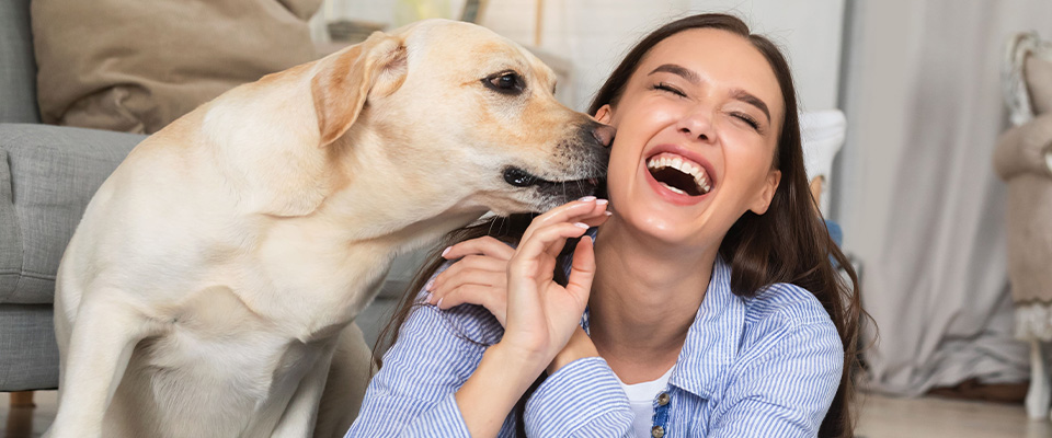 獣医師監修】犬が飼い主を舐める理由は？その裏にある感情や注意点、やめさせる方法などについて解説|ワンクォール