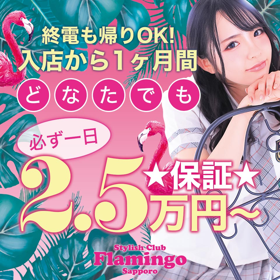 フラミンゴ(すすきの キャバクラ) | 風俗求人・高収入アルバイト [ユカイネット]