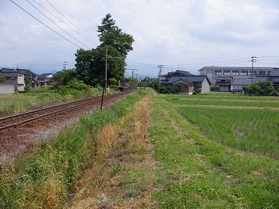 週末民話研究 関東最恐の縁切スポット、板橋区の縁切榎さんたつ by 散歩の達人