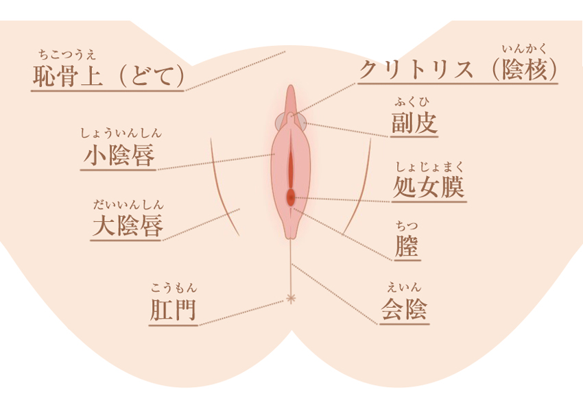 女性に潮吹きさせる為の3つの手マン方法と条件【図解・動画】 | セクテクサイト