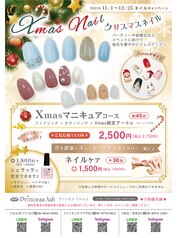 Princess Ash(天王寺MIO店) | Newネイルサンプル