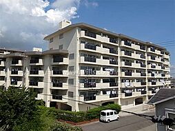 口コミまとめ Brillia ブリリア 夙川高塚町を本音で考察！ - 価格、交通、設備仕様、間取り、育児教育、治安