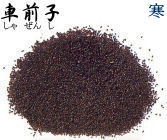 全國食材廣場-洋車前子纖維粉160g