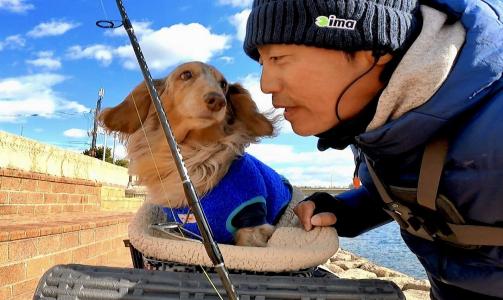 らすたひたすら - 楽天ブログ