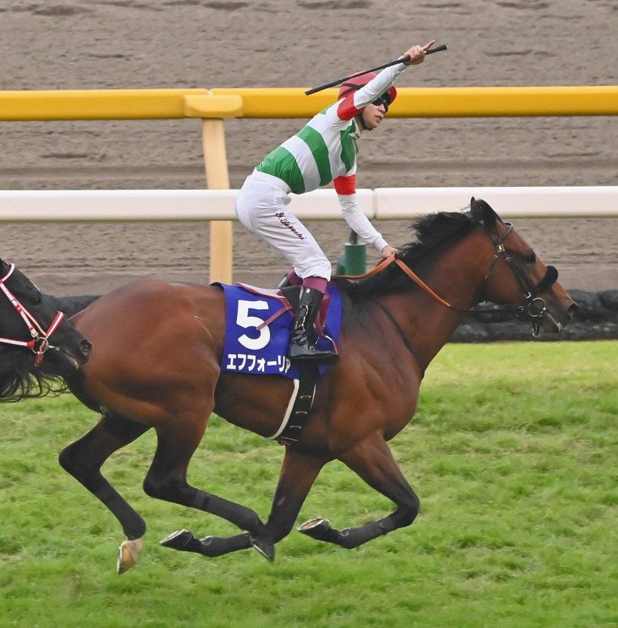 東武練馬「神也」スキのない美味しさの塩ラーメン。 - 元祖 カレー研究家 小野員裕