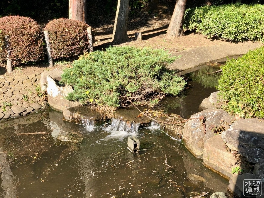 たくさんの遊具や水遊びが楽しめる！さがみ野の「芹沢公園」 - 相鉄線に乗ろう‼