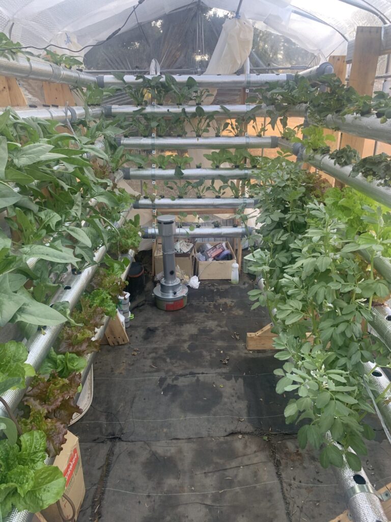 Home gardeningAn easy way to build a small vinyl greenhouse in yourgardenGrowing vegetables- YouTube