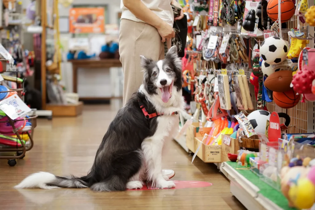 スキハジ - 穴吹カレッジ福山校 - 広島県福山市の総合専門学校